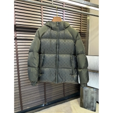 Louis Vuitton Down Jackets